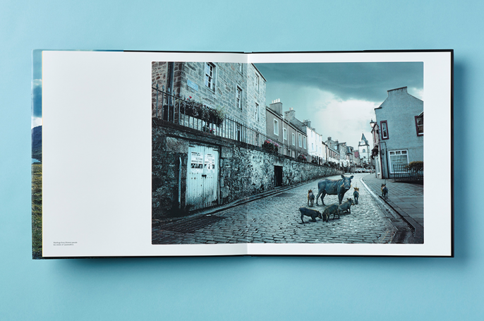 Translocation book spread - Wildlife in the street