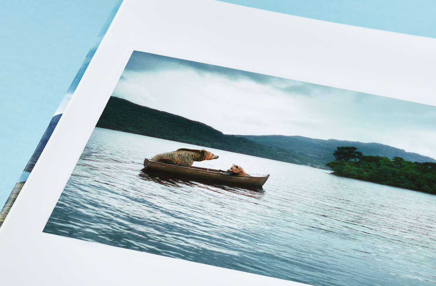 Two bears in boat - wildlife photography