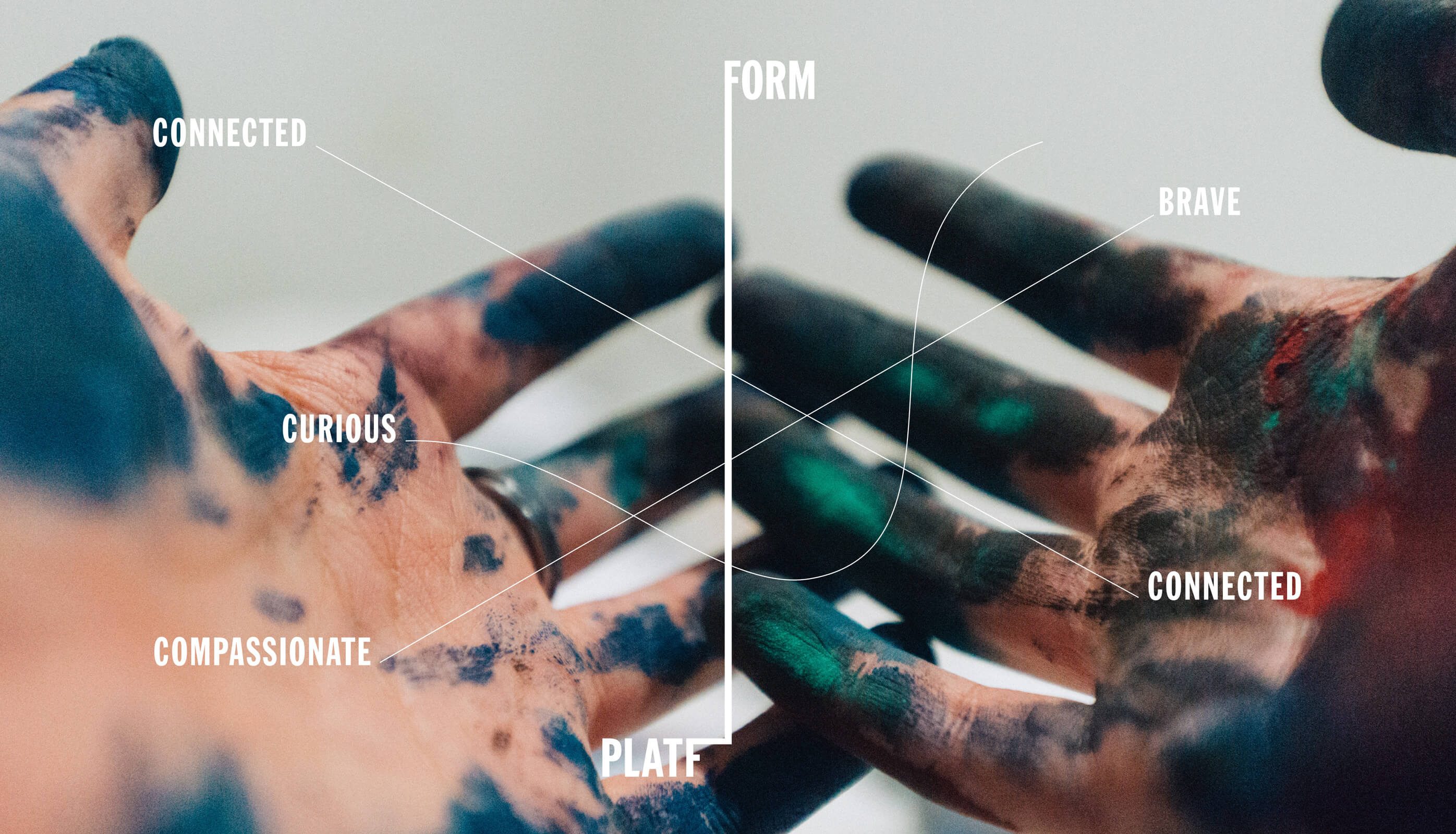 Platfform values