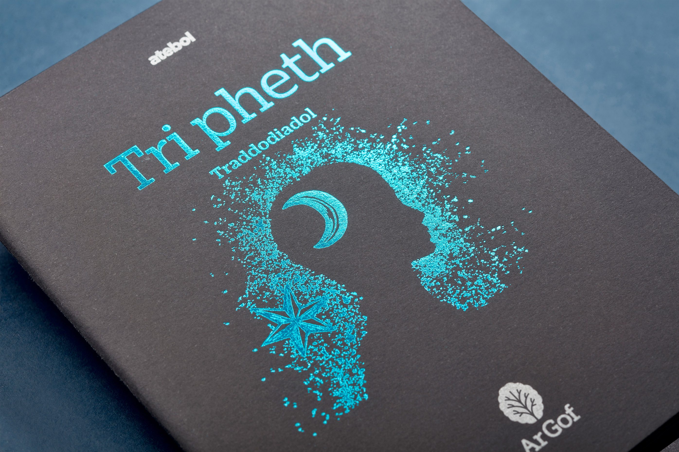 Close-up of poetry book cover showing illustration printed in turquoise foil