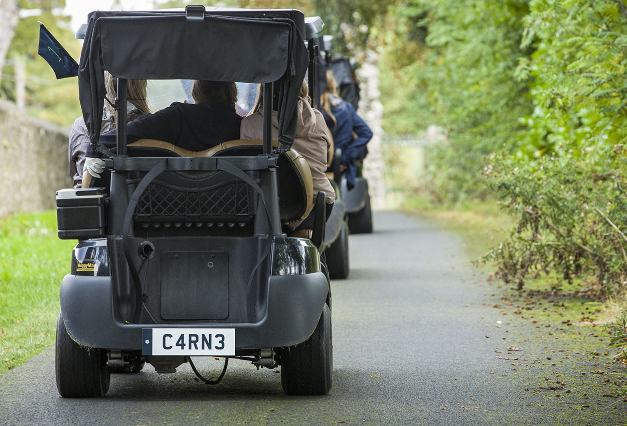 Corporate golf day branded golf buggy